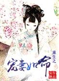 重生之宠妻如命（作者：安酥）封面